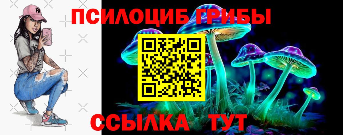 Псилоцибиновые грибы Cubensis  Вход с VPN  сколько стоит  Геленджик  Псилоцибиновые грибы MAGIC MUSHROOMS 